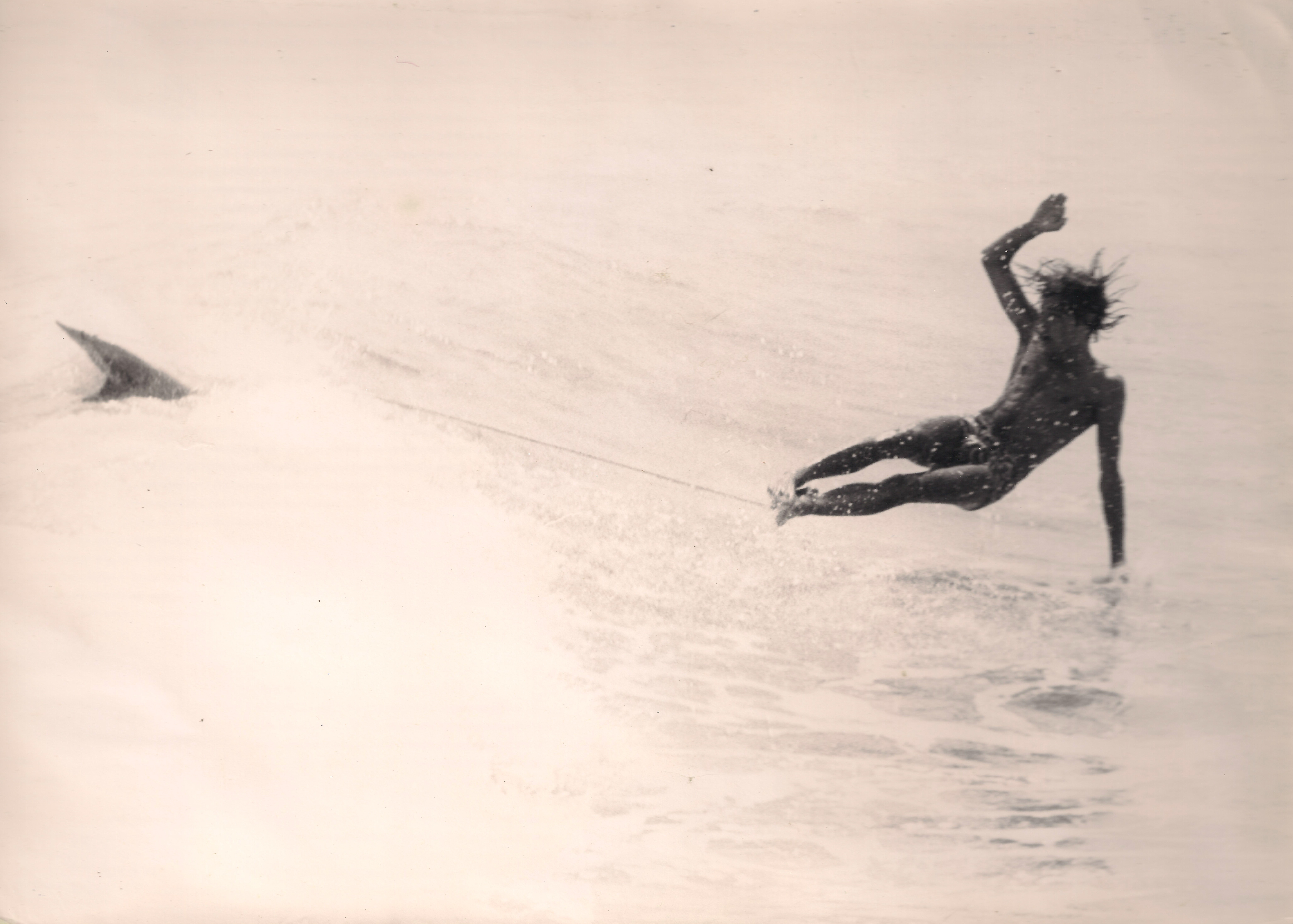 Gabernet 8 001 copia 3