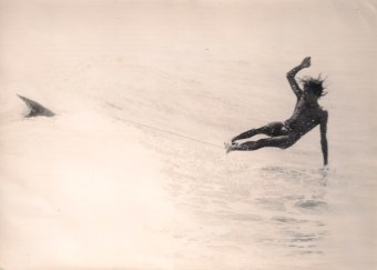 Gabernet 8 001 copia 3